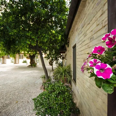 Il Gelso Di Sofia Bed & Breakfast