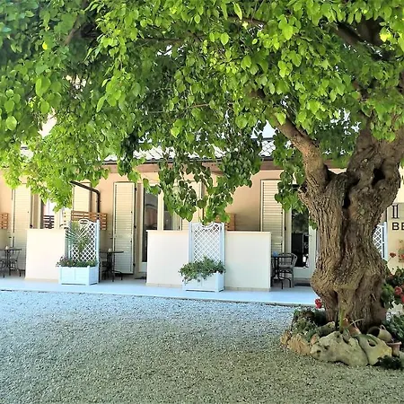 Il Gelso Di Sofia Bed & Breakfast *