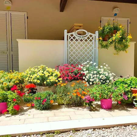 Il Gelso Di Sofia 4* Tortoreto