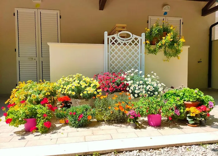 Il Gelso Di Sofia 4* Tortoreto